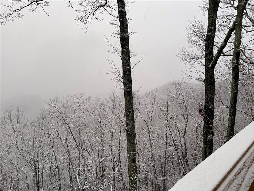 1219 Hilton Drive Ranger, GA 30734 - Photo 12 of 14 a view of a forest