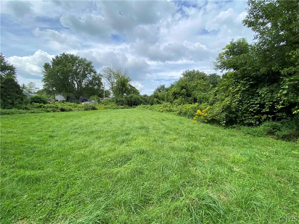 9-acres Buckley Road Syracuse, NY 13212 - Photo 3 of 10