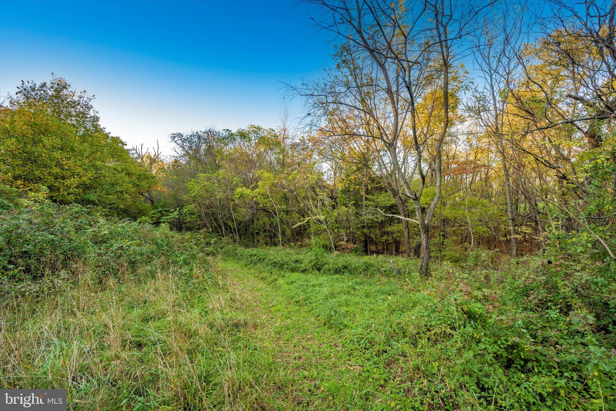 11723 Good Intent Road Keymar, MD 21757 - Photo 12 of 46