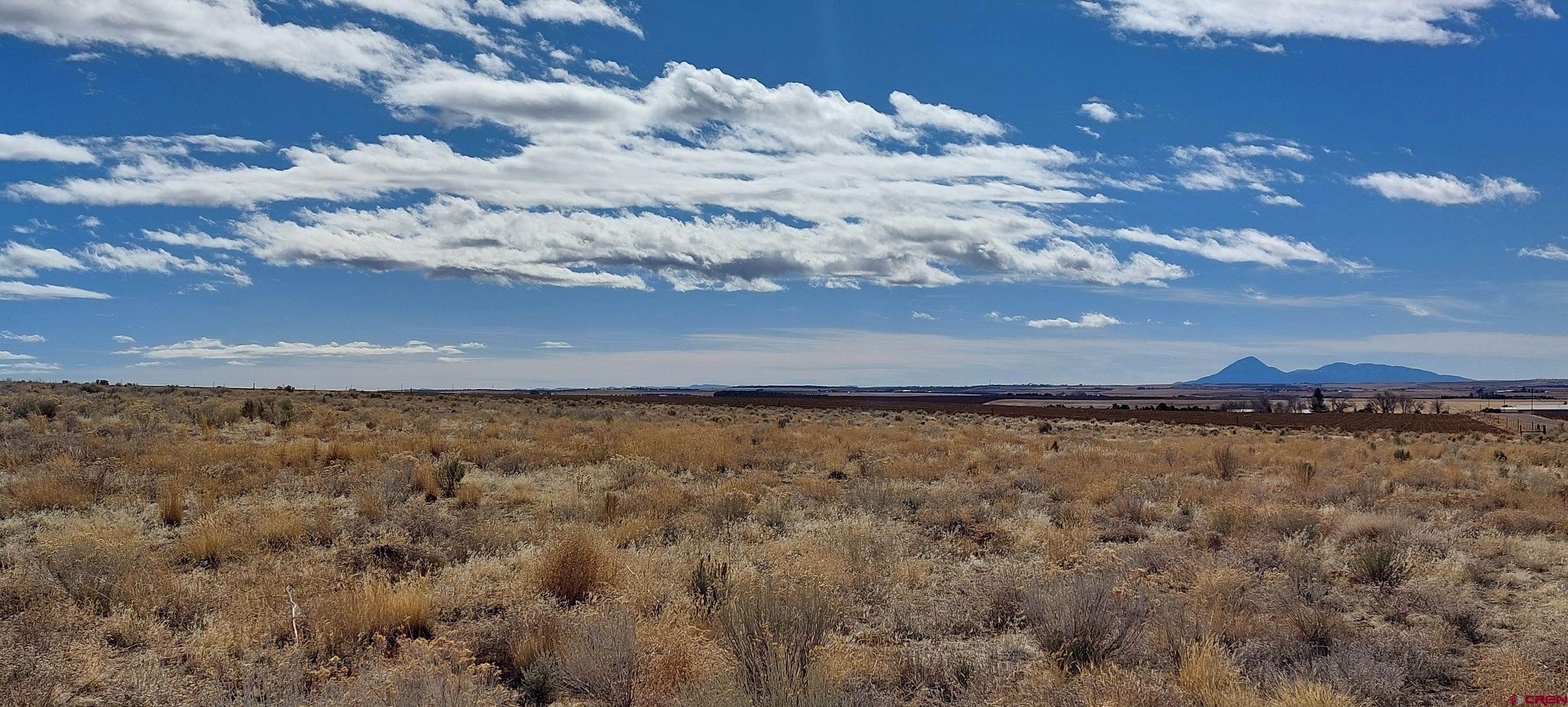 14134 Road N 3 Road Cahone, CO 81320 - Photo 1 of 13