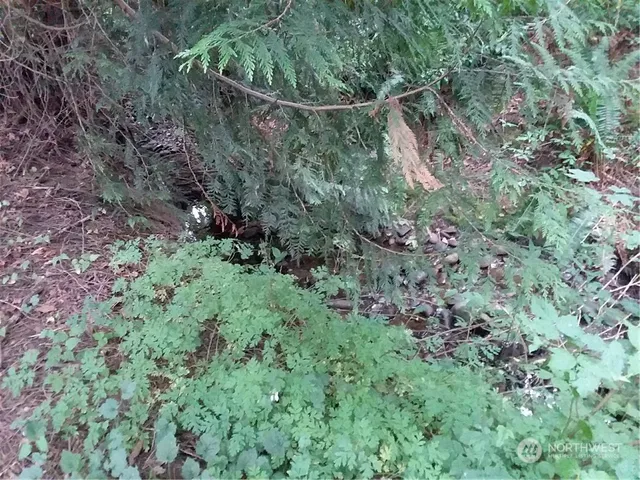 $999,995 | 314-316 Power Plant Road, Port Angeles, WA 98363