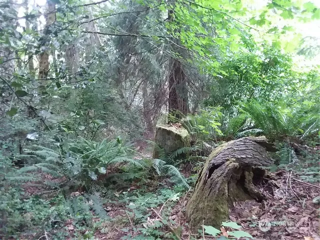 $999,995 | 314-316 Power Plant Road, Port Angeles, WA 98363