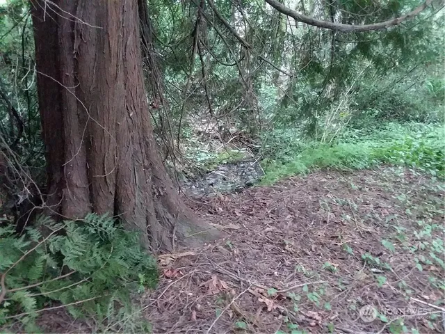 $999,995 | 314-316 Power Plant Road, Port Angeles, WA 98363