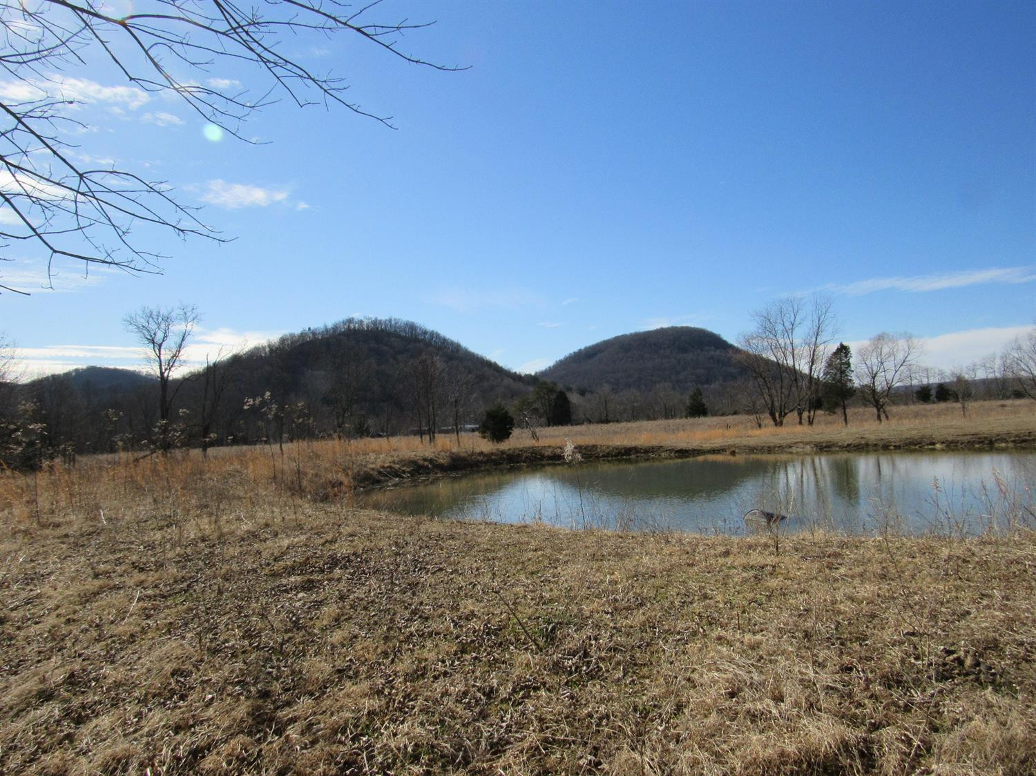 1210 Red Lick Road Berea, KY 40403 - Photo 7 of 15 Photo 7