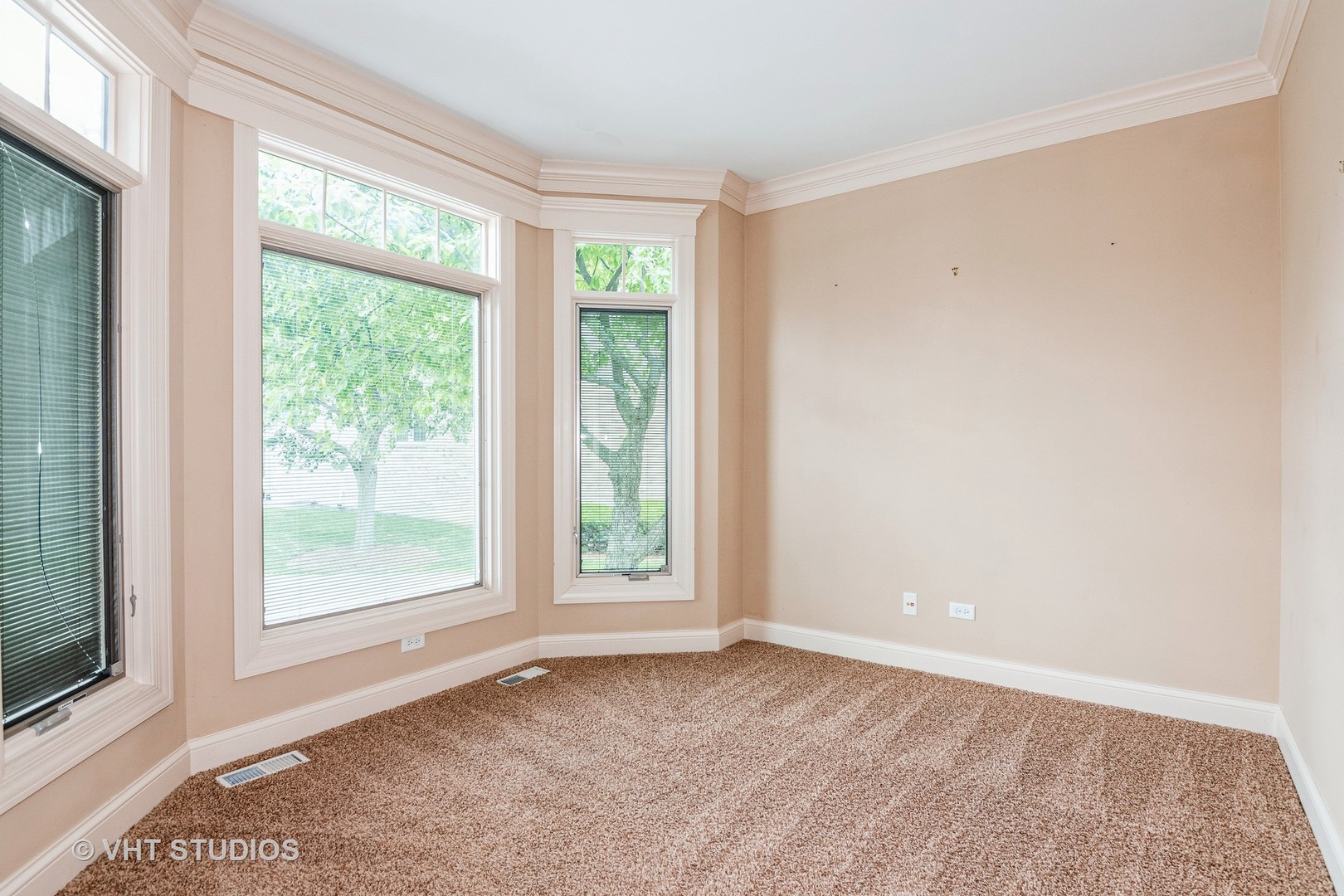 1803 Rizzi Lane Bartlett, IL 60103 - Photo 6 of 39
