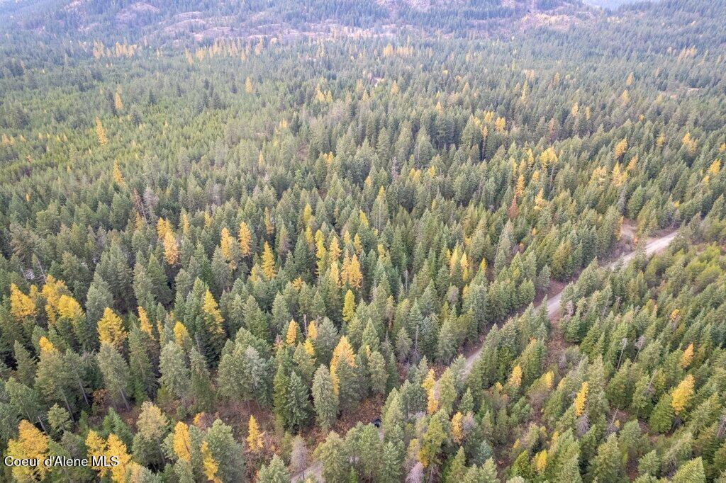 Lot 3 North Peak Road Spirit Lake, ID 83869 - Photo 21 of 21 023-NKAnextto27813NorthPeakRoad-SpiritLa