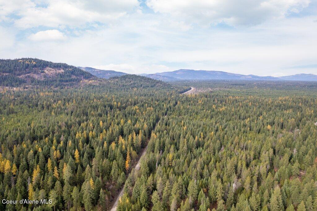 Lot 3 North Peak Road Spirit Lake, ID 83869 - Photo 3 of 21 005-NKAnextto27813NorthPeakRoad-SpiritLa