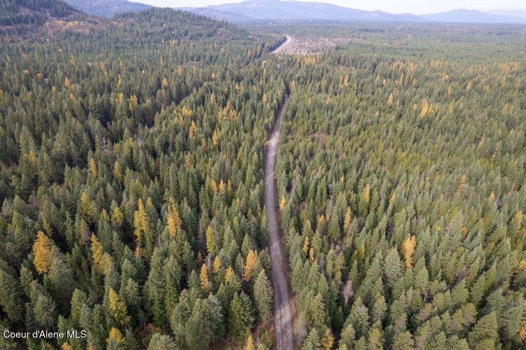 Lot 3 North Peak Road Spirit Lake, ID 83869 - Photo 8 of 21 008-NKAnextto27813NorthPeakRoad-SpiritLa