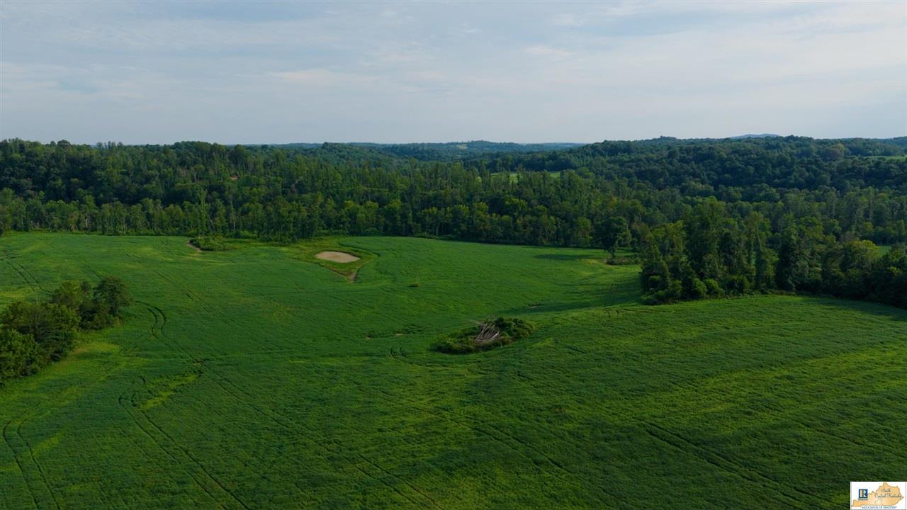 200 Scott-Marcum Road Summersville, KY 42782 - Photo 40 of 70 Gallery Image 40