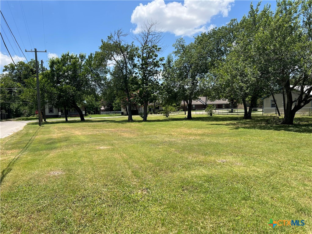 307 South Willis Street Granger, TX 76530 - Photo 2 of 13 Large buildable lot with verdant large trees