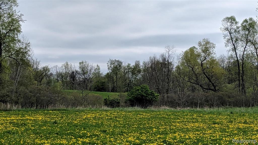 0 Slattery Road North Branch, MI 48461 - Photo 3 of 4