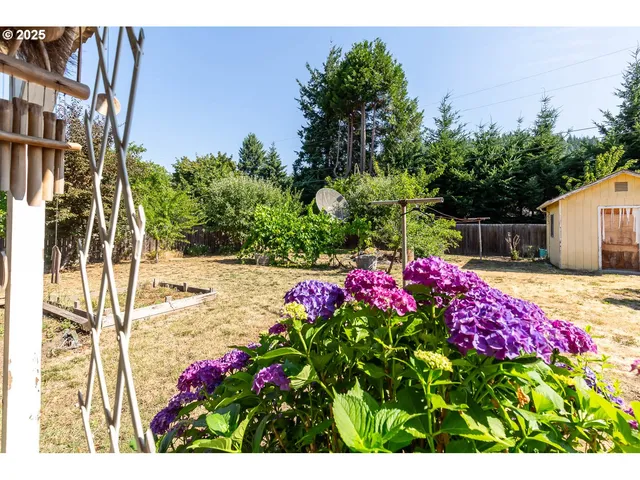 a view of a flower arrangement in backyard