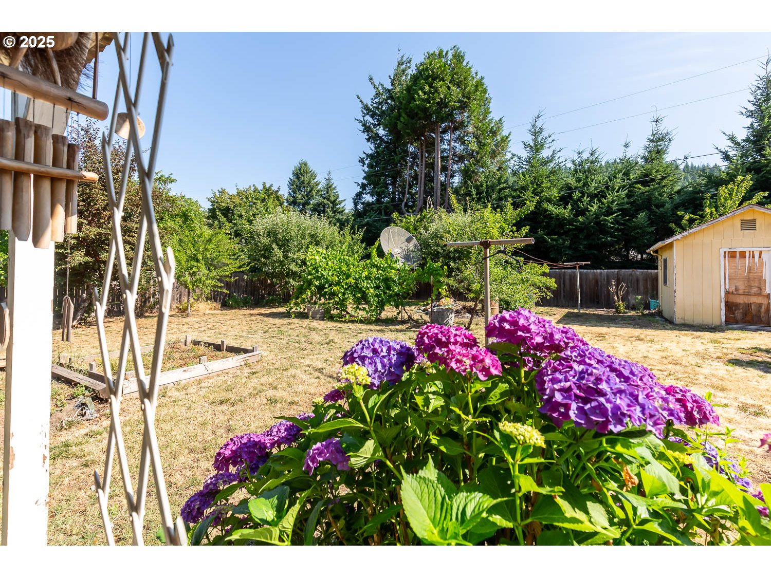 47711 Commercial Street Oakridge, OR 97463 - Photo 27 of 32 a view of a flower arrangement in backyard