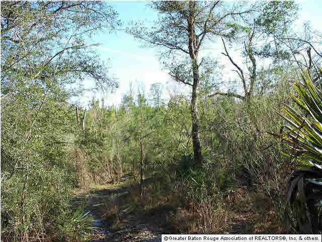 Tract A-1 Marie Hutchinson Road Springfield, LA 70462 - Photo 1 of 5