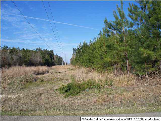 Tract A-1 Marie Hutchinson Road Springfield, LA 70462 - Photo 2 of 5