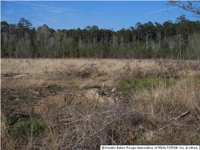 Tract A-1 Marie Hutchinson Road Springfield, LA 70462 - Photo 4 of 5