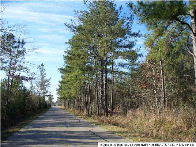 Tract A-1 Marie Hutchinson Road Springfield, LA 70462 - Photo 5 of 5