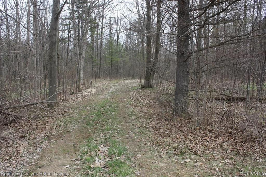 V/l Vincent Road North Street, MI 48049 - Photo 25 of 27