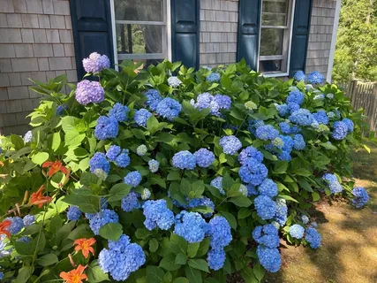 $849,000 | 38 Shorewood Drive, Orleans, MA 02653