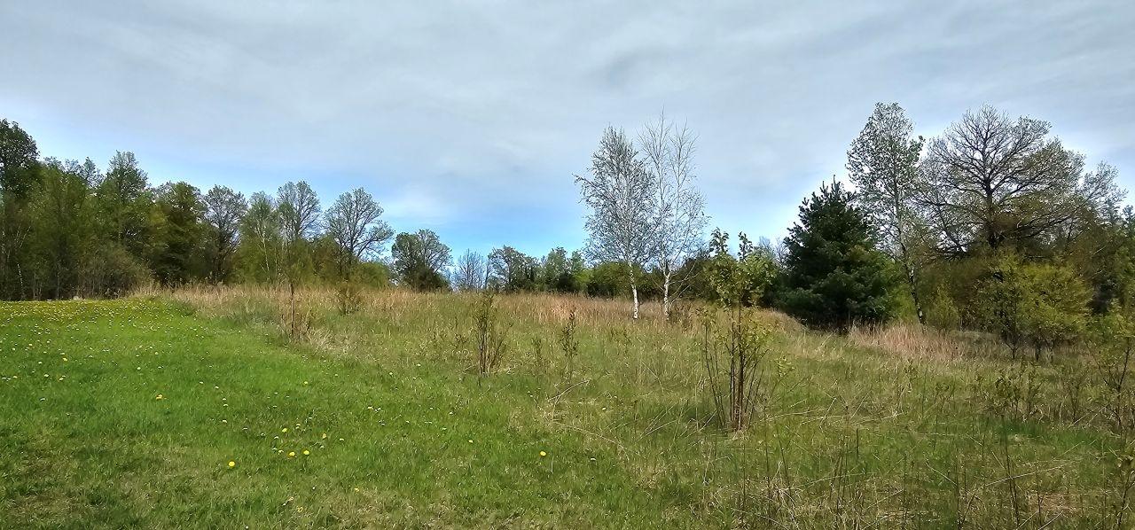 4103 Weber Road Mercer, WI 54547 - Photo 22 of 29 Gallery Image 22
