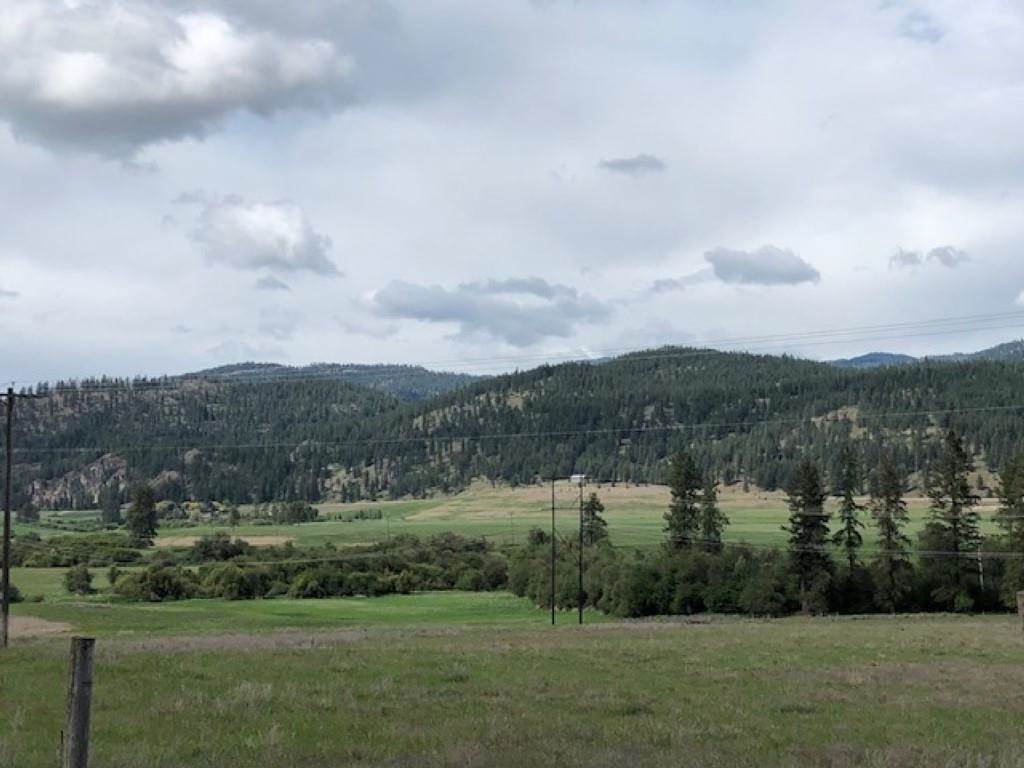 Xxx Heine Road Chewelah, WA 99109 - Photo 5 of 6 Gallery Image 5