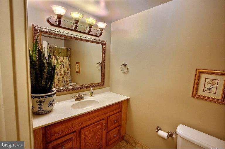 20003 Hickman Way Poolesville, MD 20837 - Photo 25 of 30 a bathroom with a sink a toilet and mirror