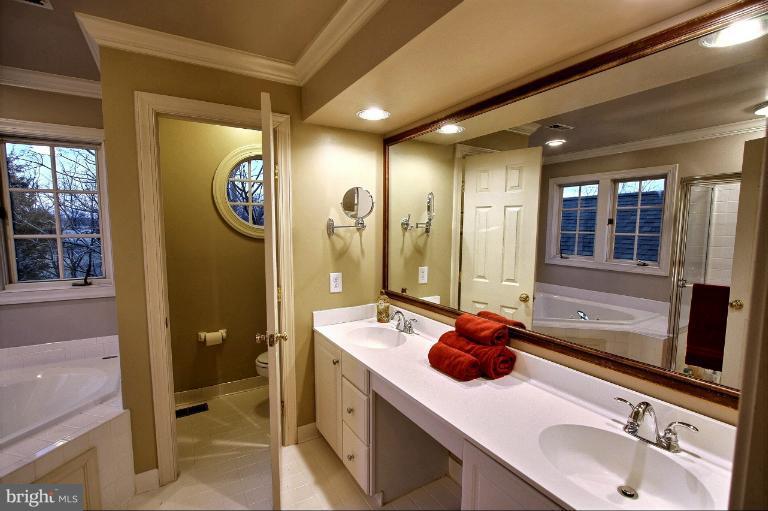 20003 Hickman Way Poolesville, MD 20837 - Photo 26 of 30 a bathroom with a sink and a mirror