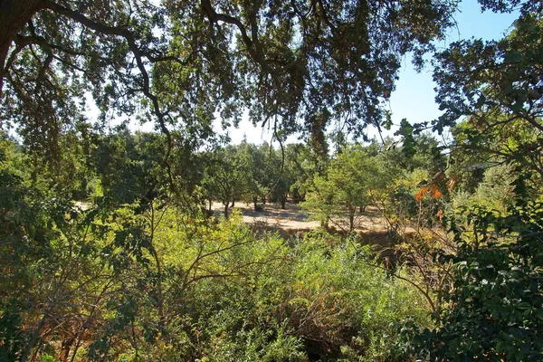 $449,500 | 1709 Seven Falls Drive, Modesto, CA 95355