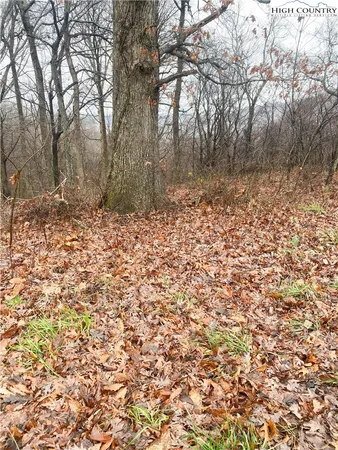 a fire hydrant in the middle of a yard