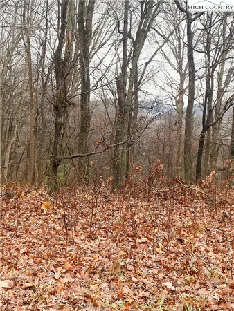$18,000 | Lot #7 Tom's Knob, Sparta, NC 28675