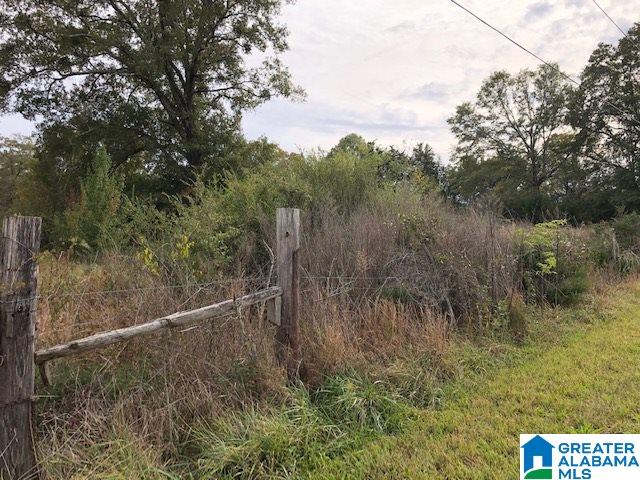 0 Hackney Street, Unit 8 29 ACRES Lincoln, AL 35096 - Photo 7 of 18