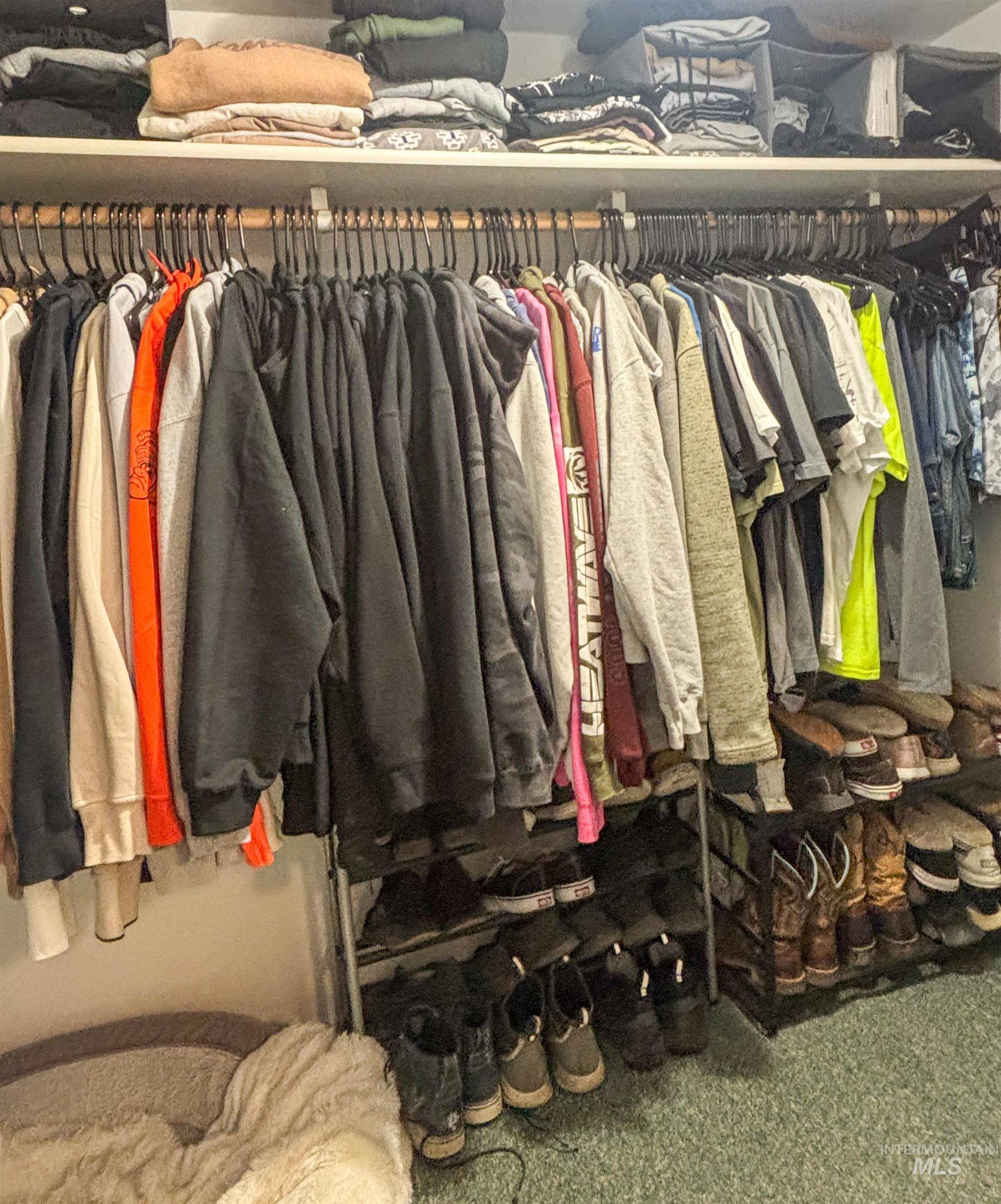 2280 Old Pullman Road, Unit 20 Moscow, ID 83843 - Photo 12 of 20 View of closet