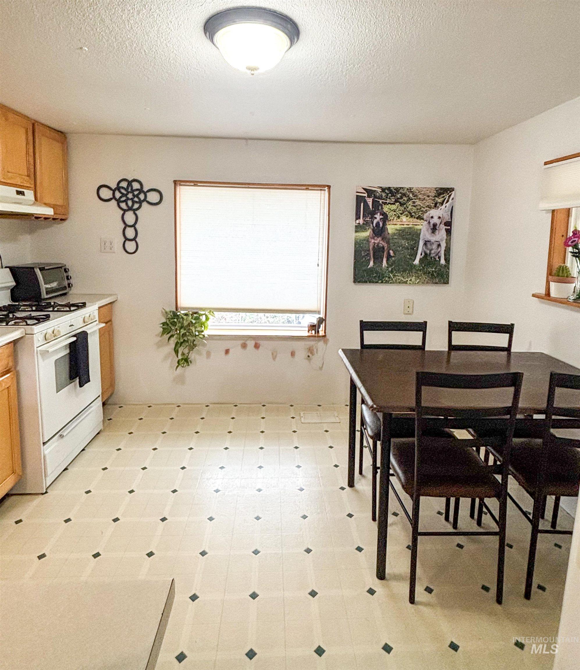 2280 Old Pullman Road, Unit 20 Moscow, ID 83843 - Photo 6 of 20 Dining space with light floors and a textured ceiling