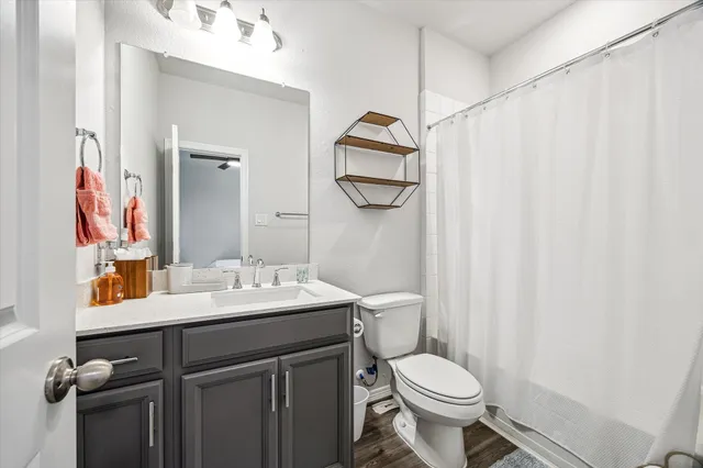 a bathroom with a sink toilet and vanity