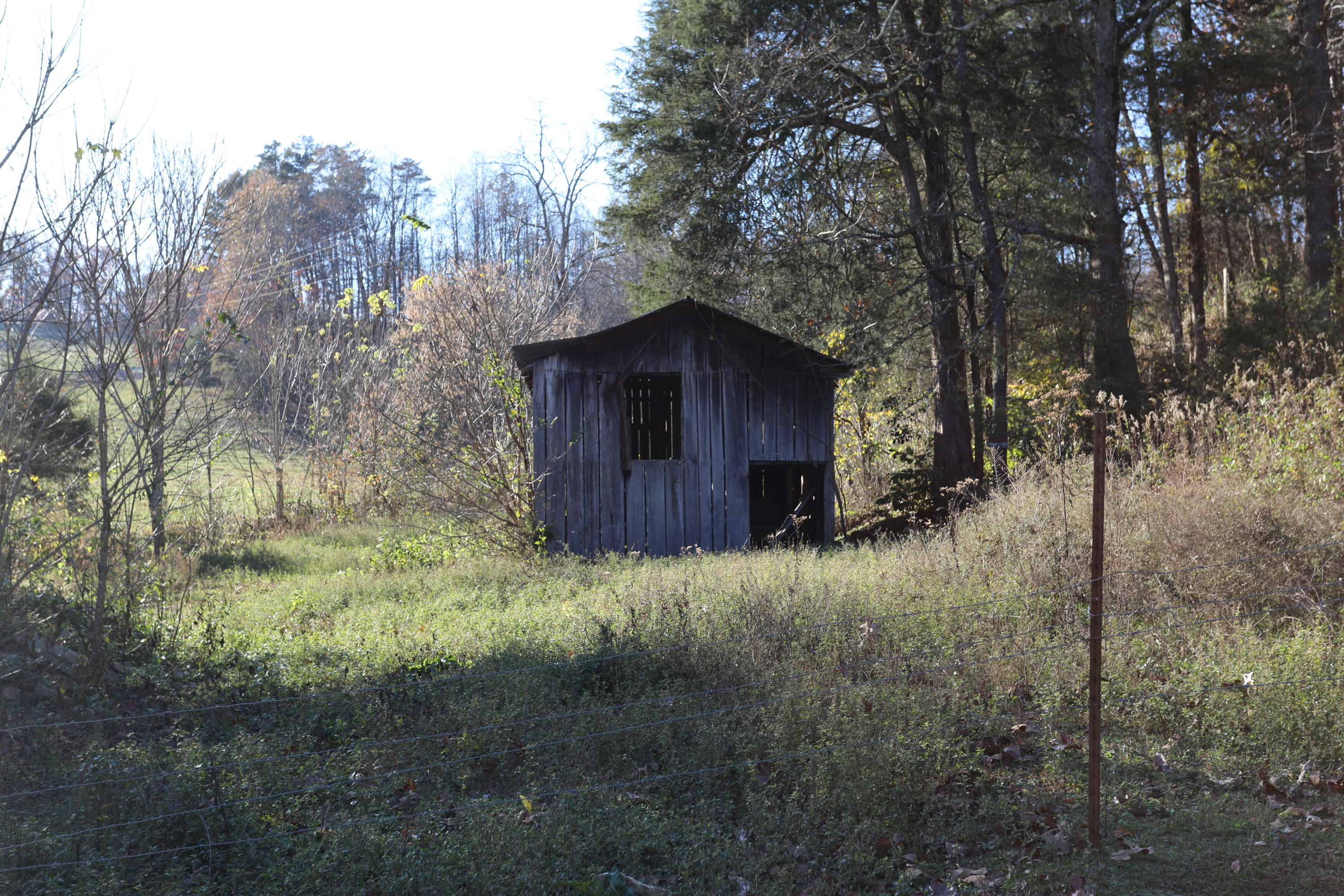 293 Berry Hollow Road Speedwell, TN 37870 - Photo 24 of 31 Barn