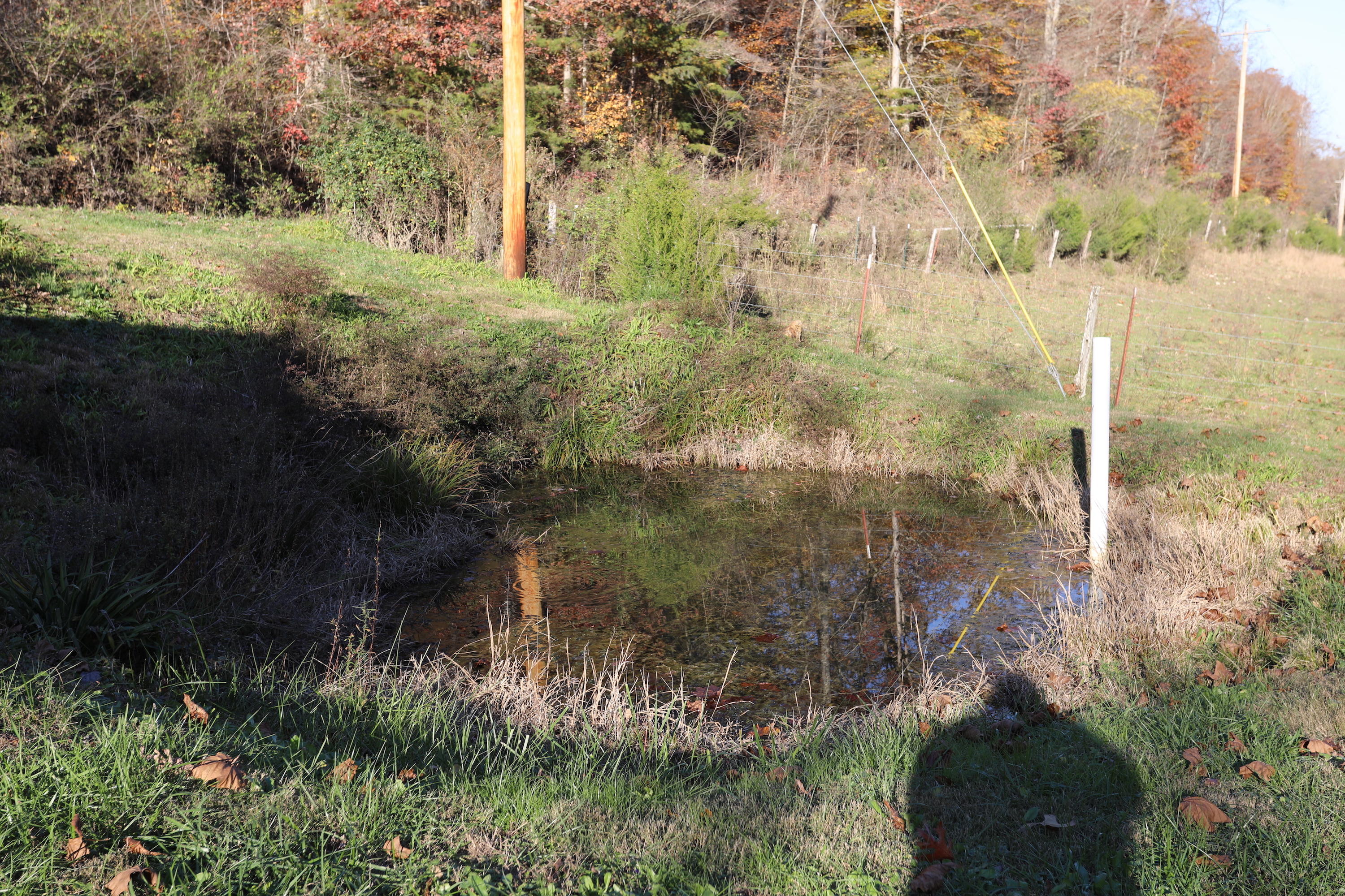 293 Berry Hollow Road Speedwell, TN 37870 - Photo 29 of 31 Pond
