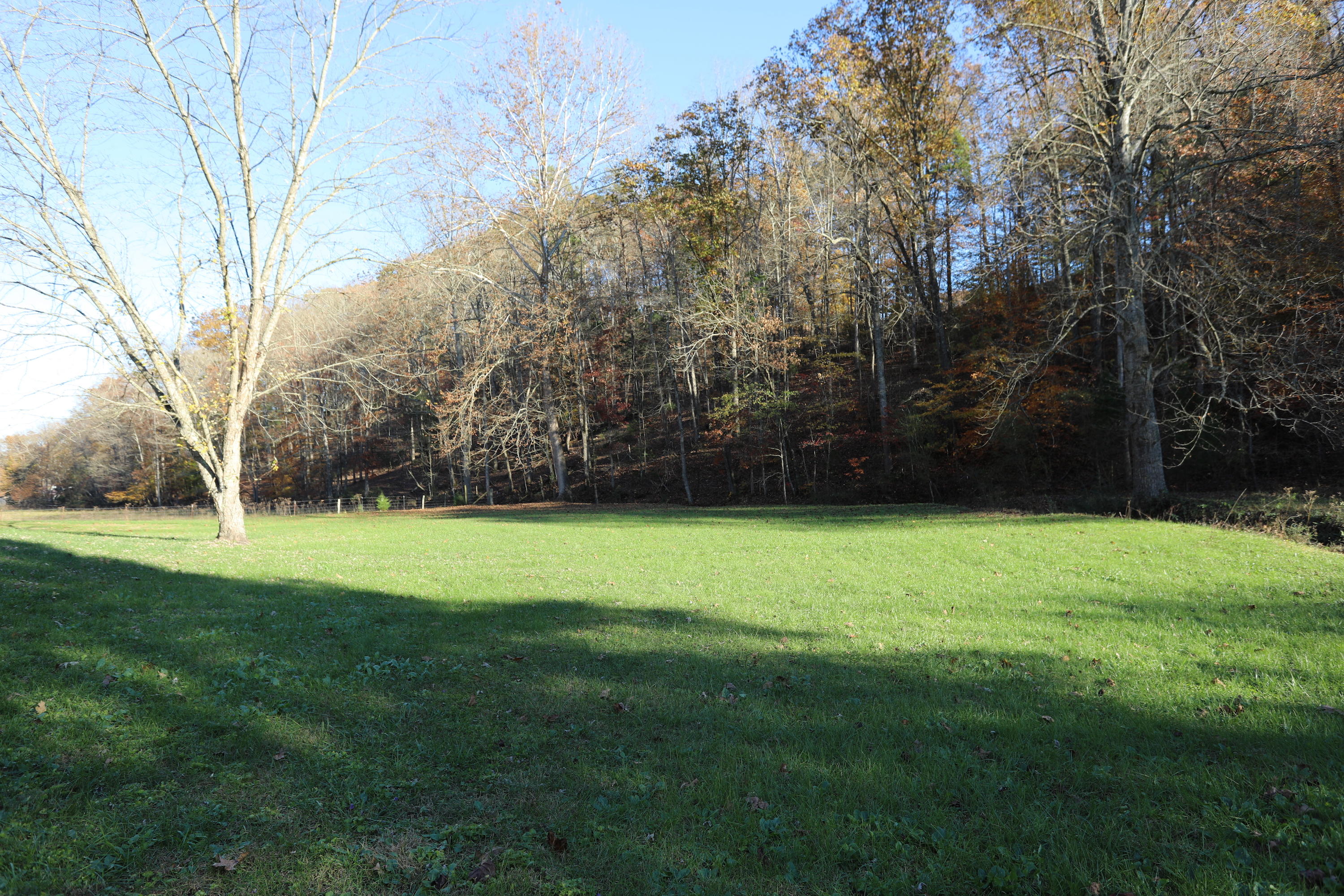 293 Berry Hollow Road Speedwell, TN 37870 - Photo 30 of 31 Back yard