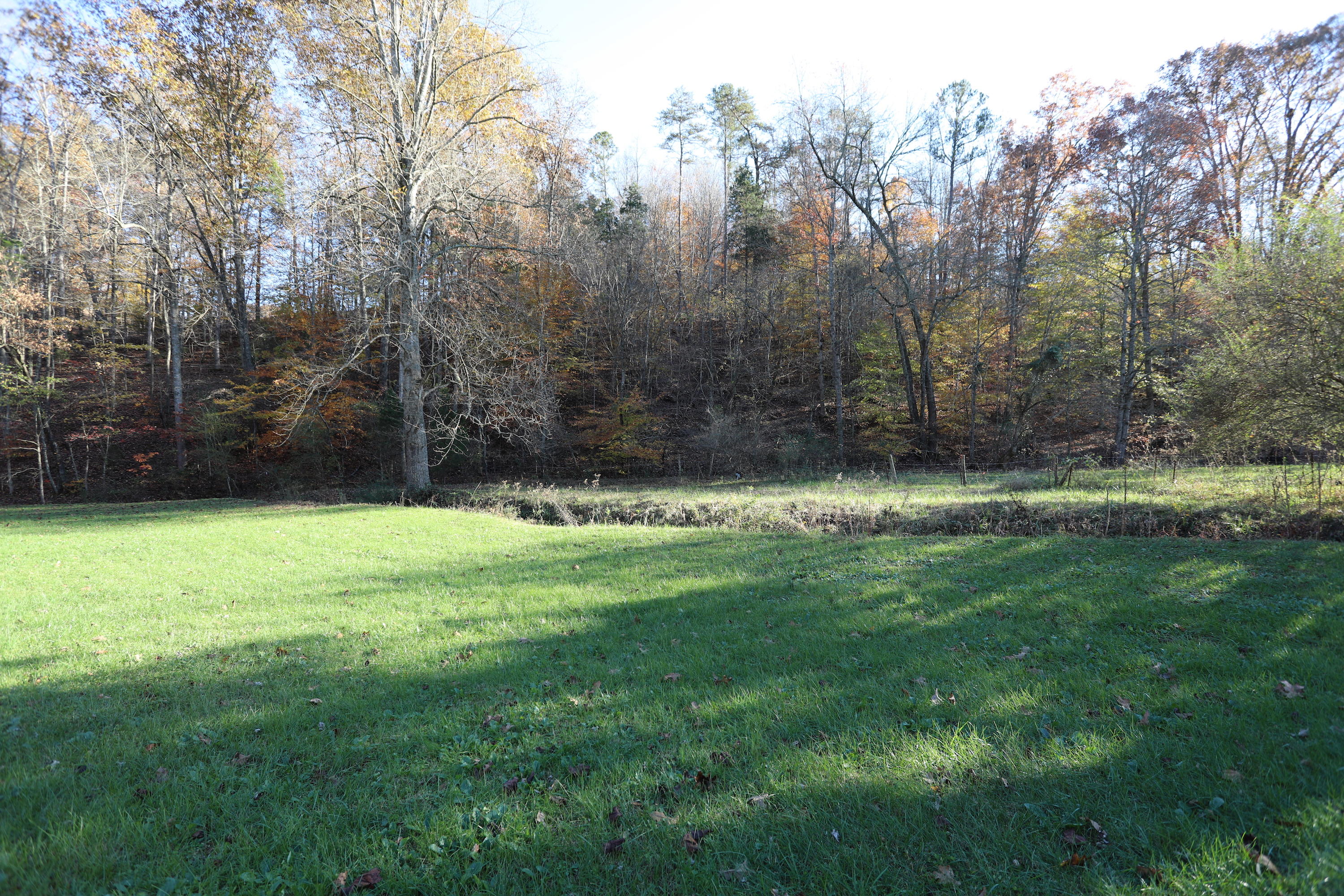 293 Berry Hollow Road Speedwell, TN 37870 - Photo 31 of 31 Yard