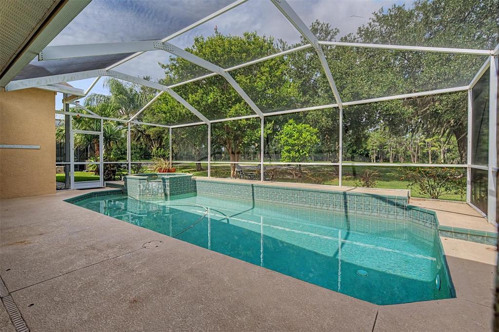 1331 Trimaran Place Trinity, FL 34655 - Photo 4 of 54