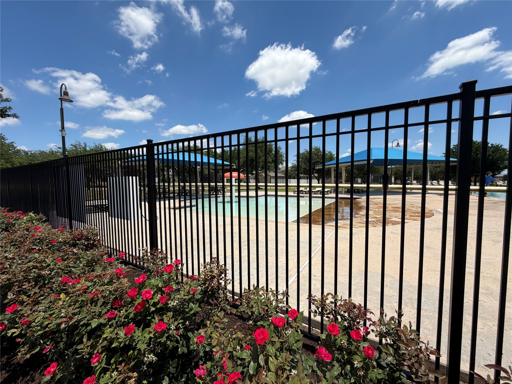 1507 Davis Mountain Loop Cedar Park, TX 78613 - Photo 27 of 30 community pool