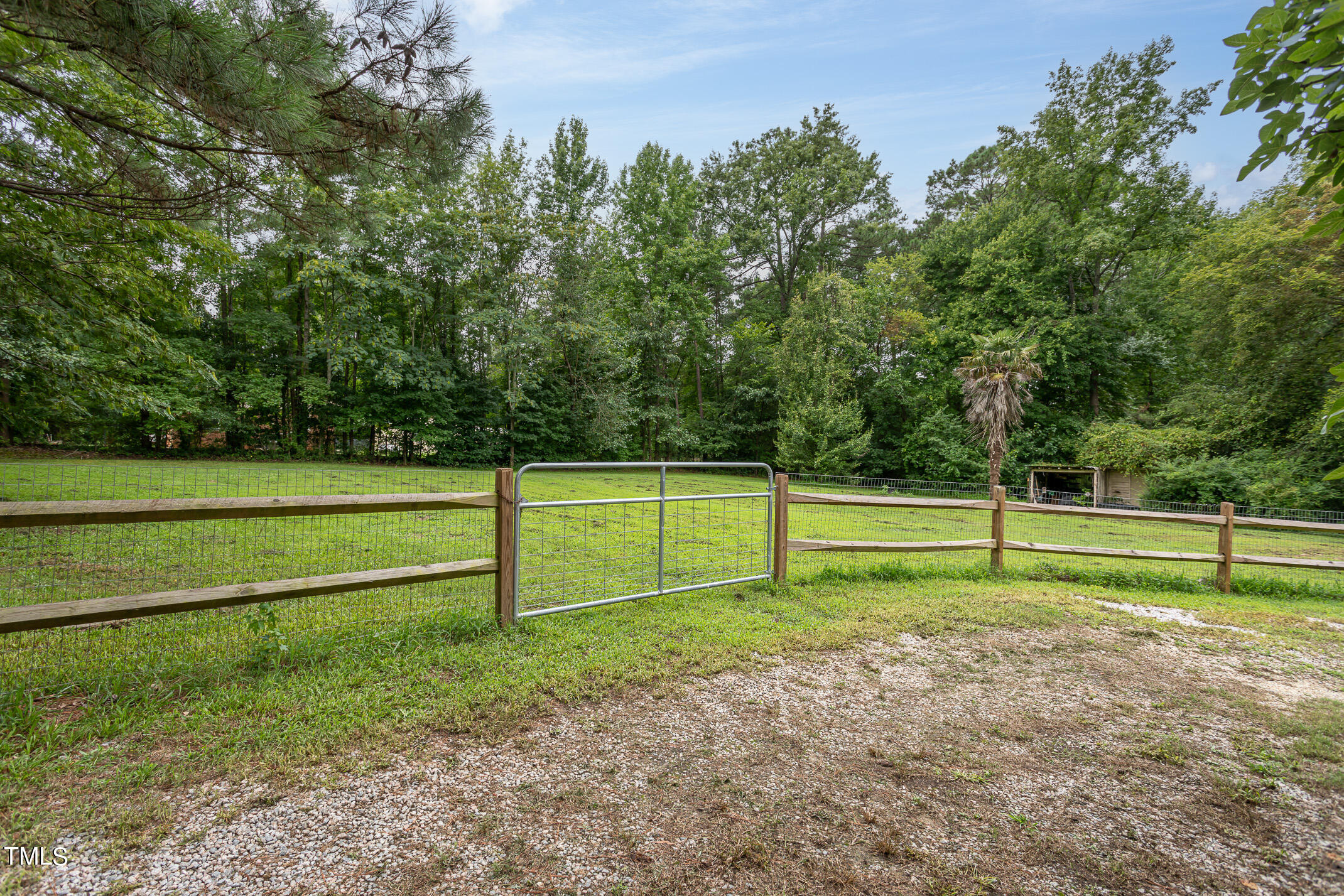 703 Woodland Road Raleigh, NC 27603 - Photo 22 of 26 gordon-703-woodland-28