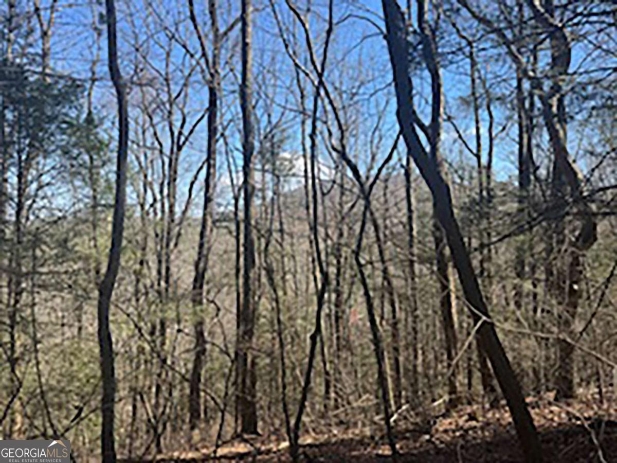 Lot 14 Butler Creek Road Cherry Log, GA 30522 - Photo 3 of 8 Gallery Image 3