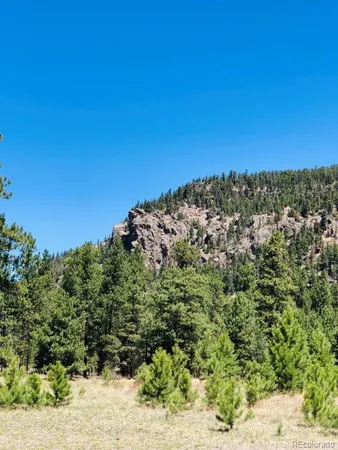$66,500 | 133 Canyon View Drive, Antonito, CO 81120