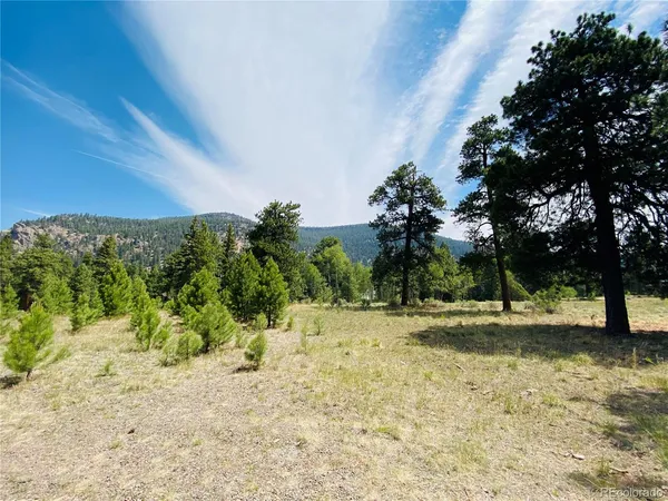 $66,500 | 133 Canyon View Drive, Antonito, CO 81120
