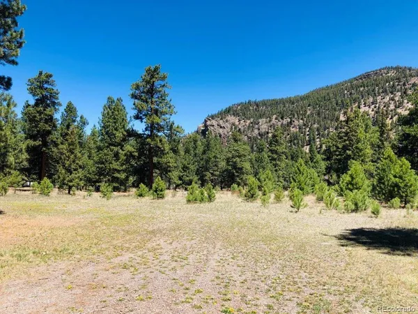 $66,500 | 133 Canyon View Drive, Antonito, CO 81120