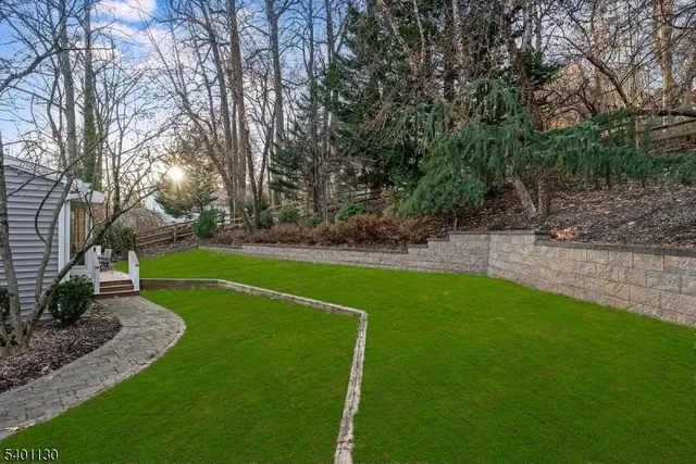 a view of a park with large trees