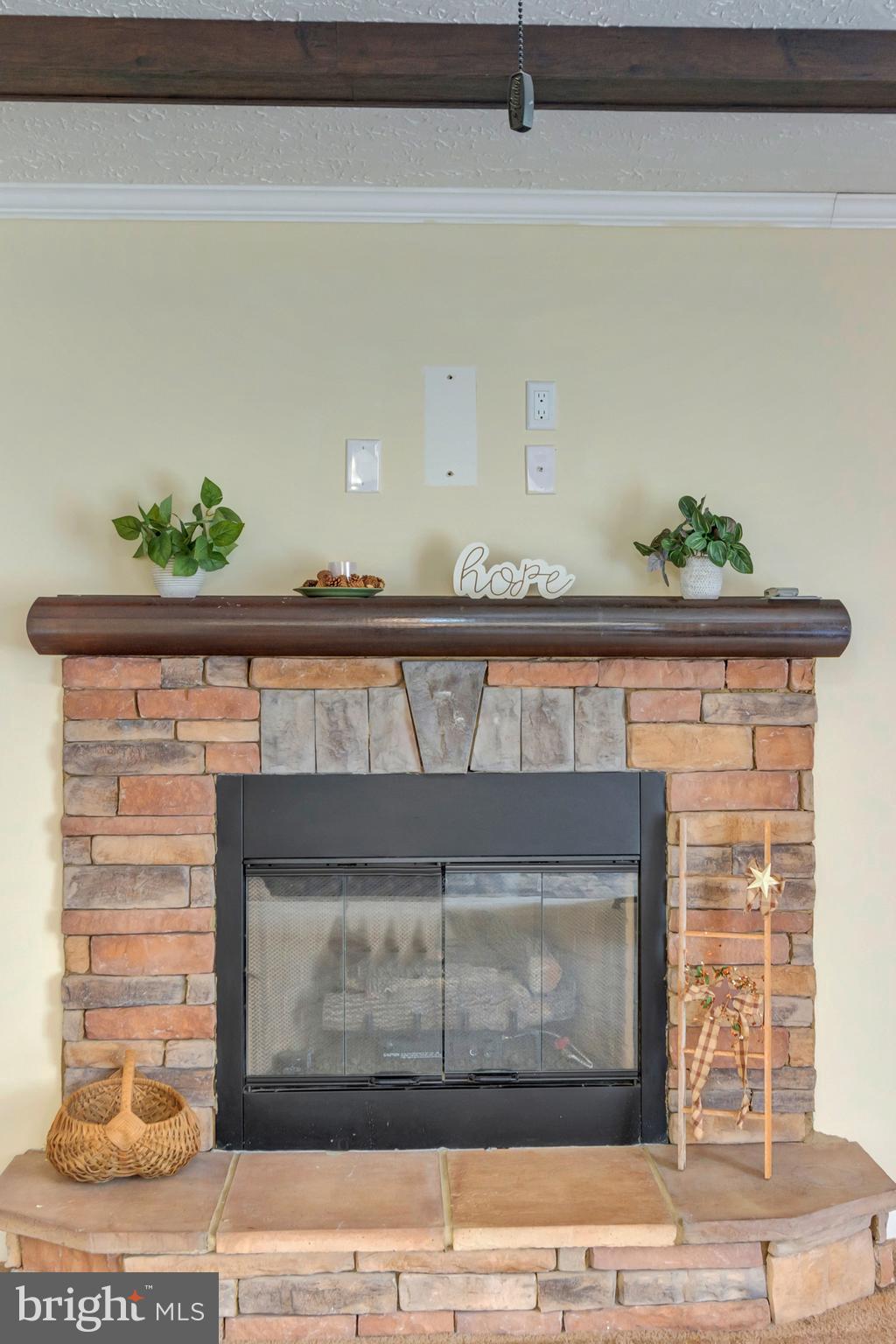 14524 Kendall Road Orange, VA 22960 - Photo 19 of 50 Fireplace