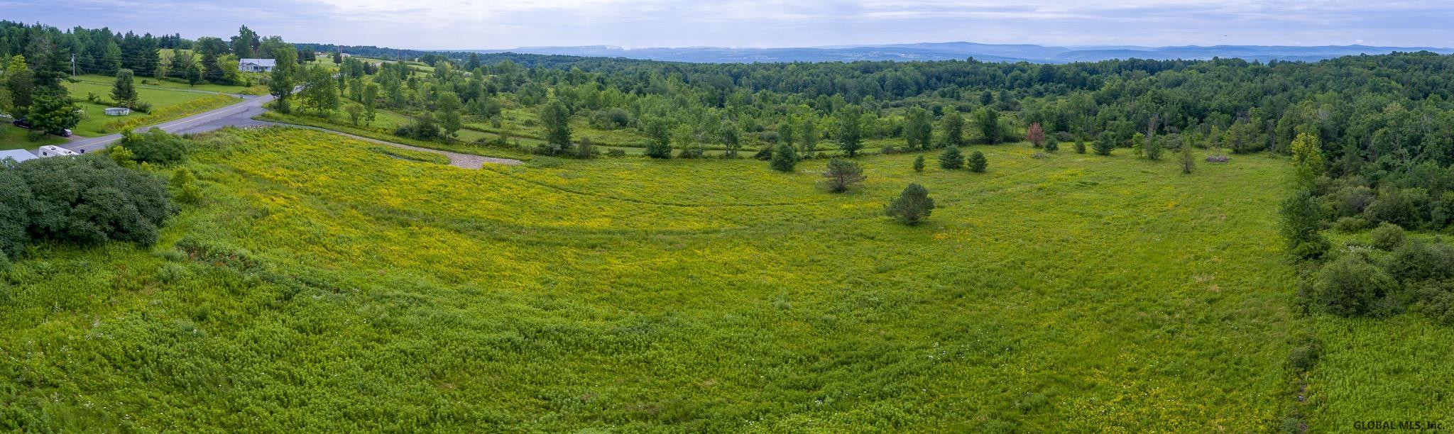 0 Esperance Road Esperance, NY 12066 - Photo 6 of 6 Photo 6