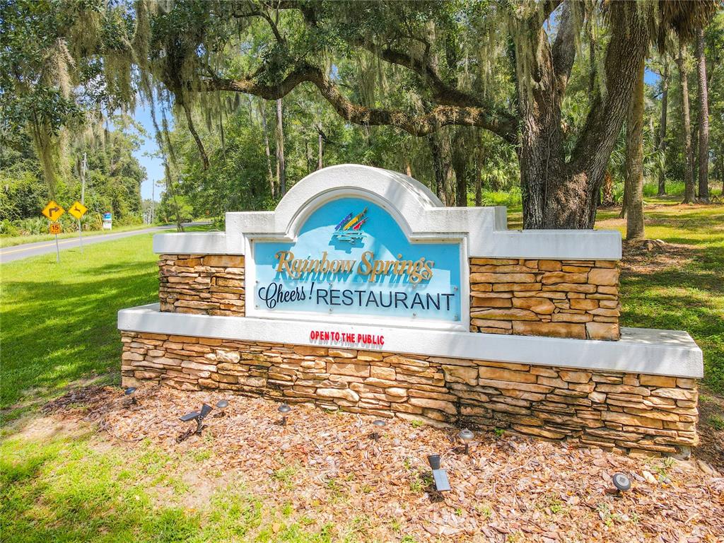 10043 Southwest 202nd Circle Dunnellon, FL 34431 - Photo 54 of 68
