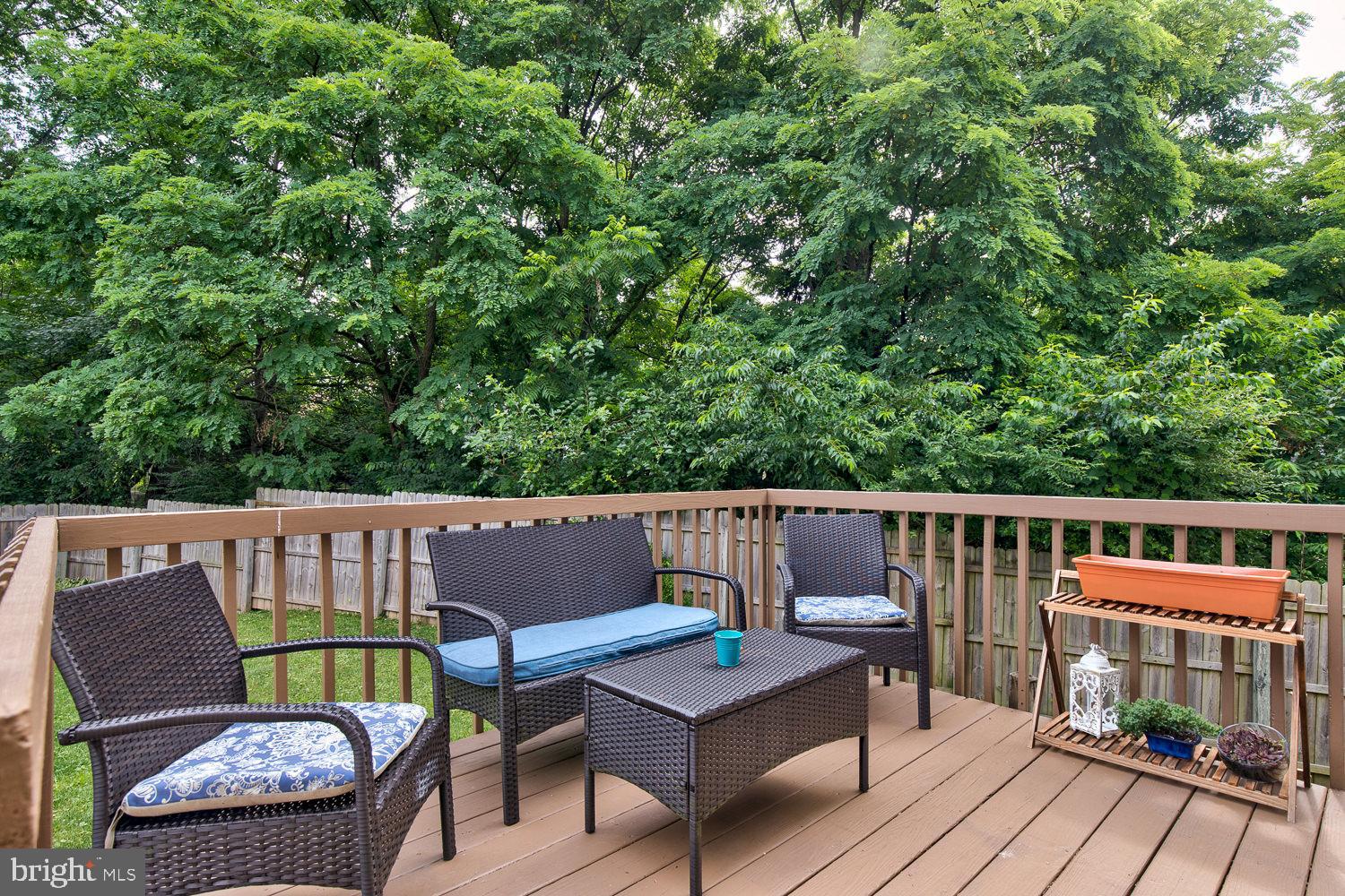 101 Beech Road Wallingford, PA 19086 - Photo 22 of 24 Deck